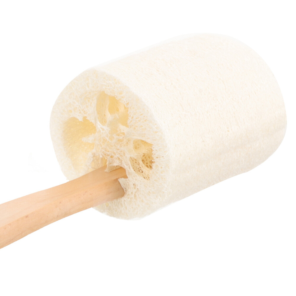 Vive Luffa Rückenwäscher – Langstielige Körperbürste Mit Hand-Luffa Für Schonendes Peeling In Dusche Und Bad