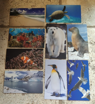 BABY EINSTEIN NEPTUNES OCEANS DISCOVERY FLASH CARDS 9 CARDS SEE DESCRIPTION