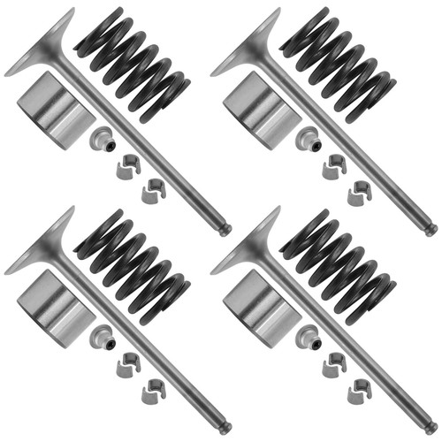 Caltric 3022414 7043988 3610212 3610199 5138477 Intake Valve Kit For Polaris - Foto 6 di 7