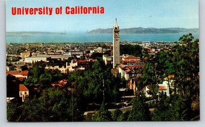 UC Berkeley Panorama Postcard Sather Tower San Francisco Bay Mike Roberts