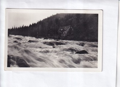 G3983 AK Pauknerova chata Vydra Šumava Böhmerwald Paukner Hütte Pospichal RPPC
