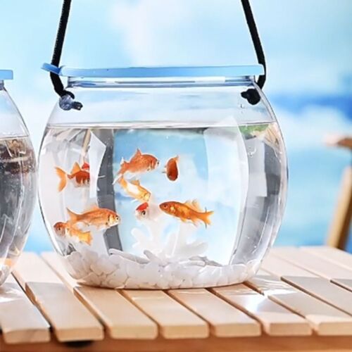 Goldfish Desktop Decoration Small Aquarium Transparent Round Fish Tank✔ - Picture 5 of 12