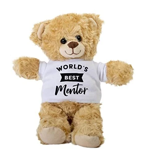 World s Best Mentor Teddy Bear Gift Stuffed Animal Plush Teddy