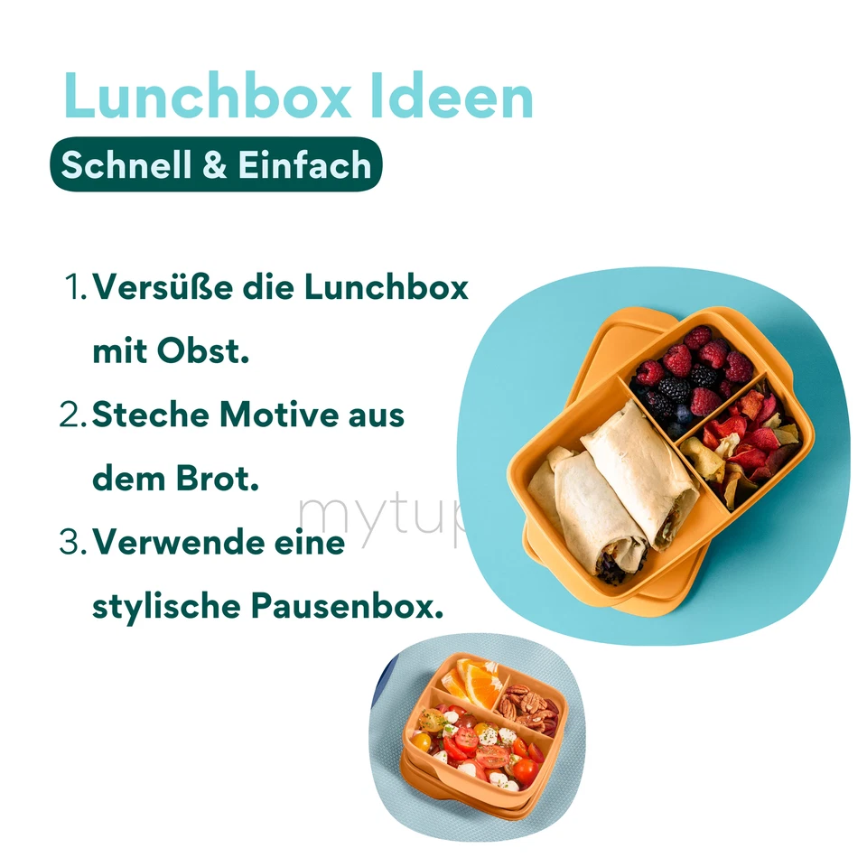 Tupperware Naschkätzchen Vesper Brotzeit Brot Snackbox Lunchbox Bunt BPA-Frei - Bild 4 von 4