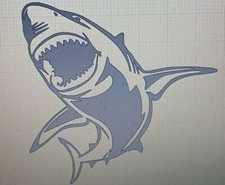 Shark Decal