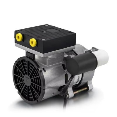 Mass Flow 220VAC 110V AC Oilless Electric Air Pump Small Diaphragm Vacuum Pump