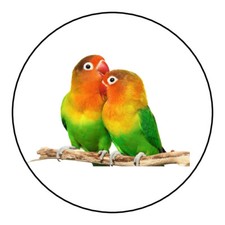 Love bird stickers, labels, tags, envelope seals,