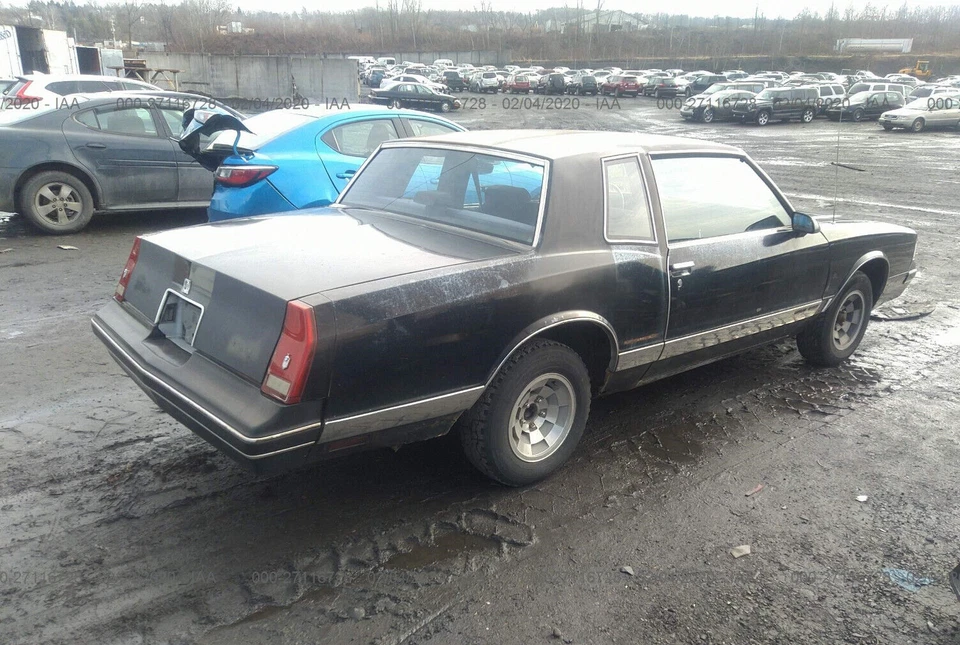 Chevrolet Monte Carlo, Regal, Cutlass : 1981, 1982-1988, Right Front Door Glass - Image 3 of 4