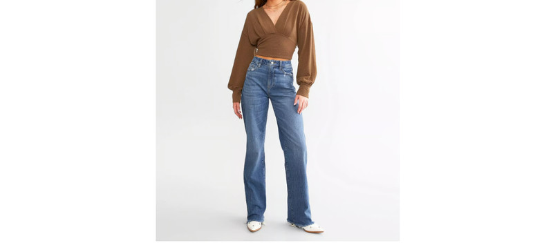 THE BUCKLE WILLOW & ROOT WIDE LEG HIGH JEANS in SPROUT FRAY HEM NEW 25 w