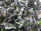 HUGE Bulk Lot 2003 Happy Meal Mcdonalds Package Toy Lot Green Tonka Loader CHEAP — photo 9