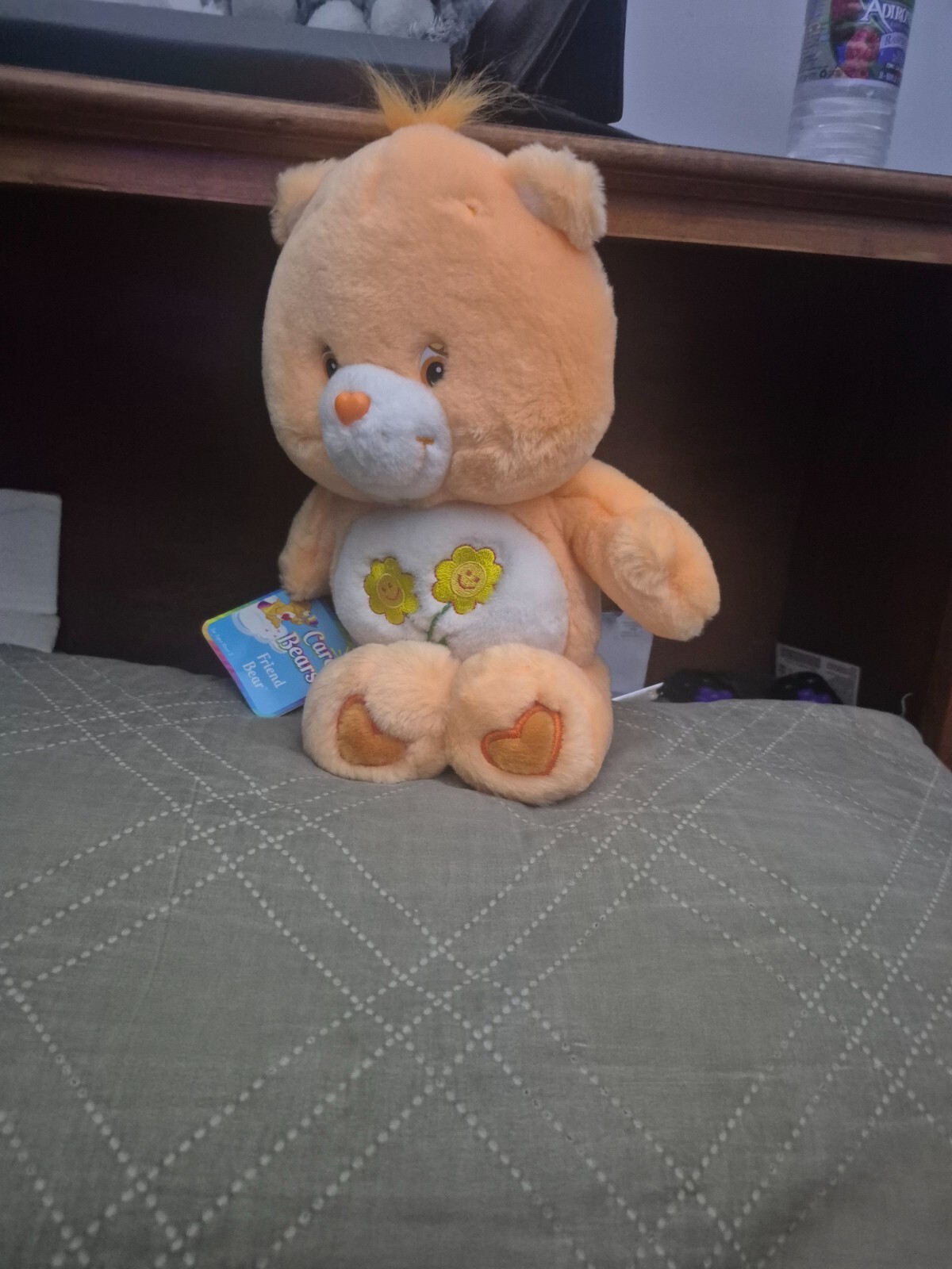 Vintage Friend Bear Care Bear 2002 14 inch