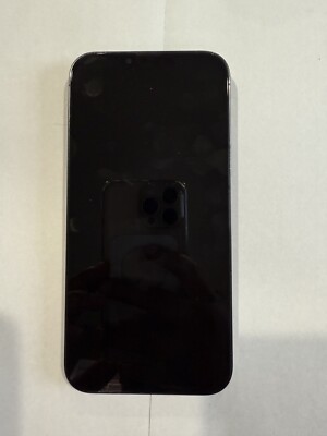 iPhone 13 Pro Max With tik tok