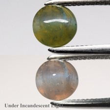  on The Hot Collector