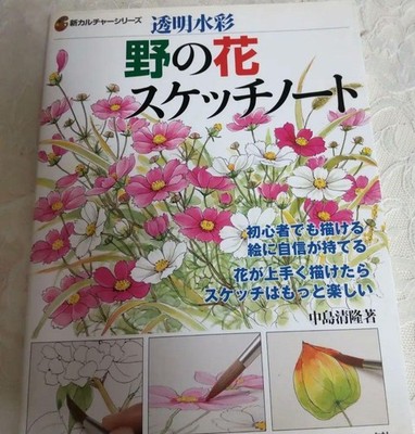 Watercolor Wildflower Sketch Notes Book by Kiyotaka Nakajima, Used