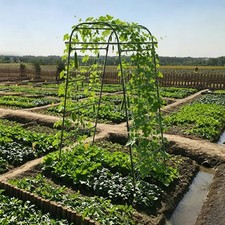 82.68" Tall Metal Garden Arch Trellis for Climbing Plants Vines - Black New