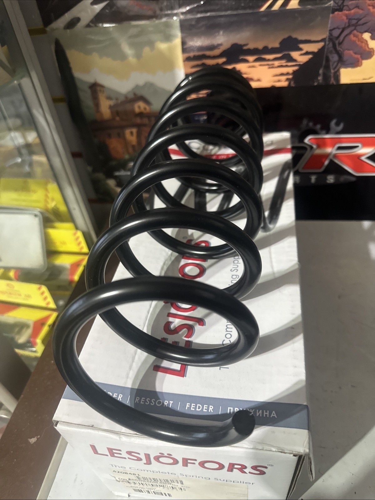 LESJOFORS 4208481 Coil Spring Rear Without M Technology Fits BMW 5 Series image 3