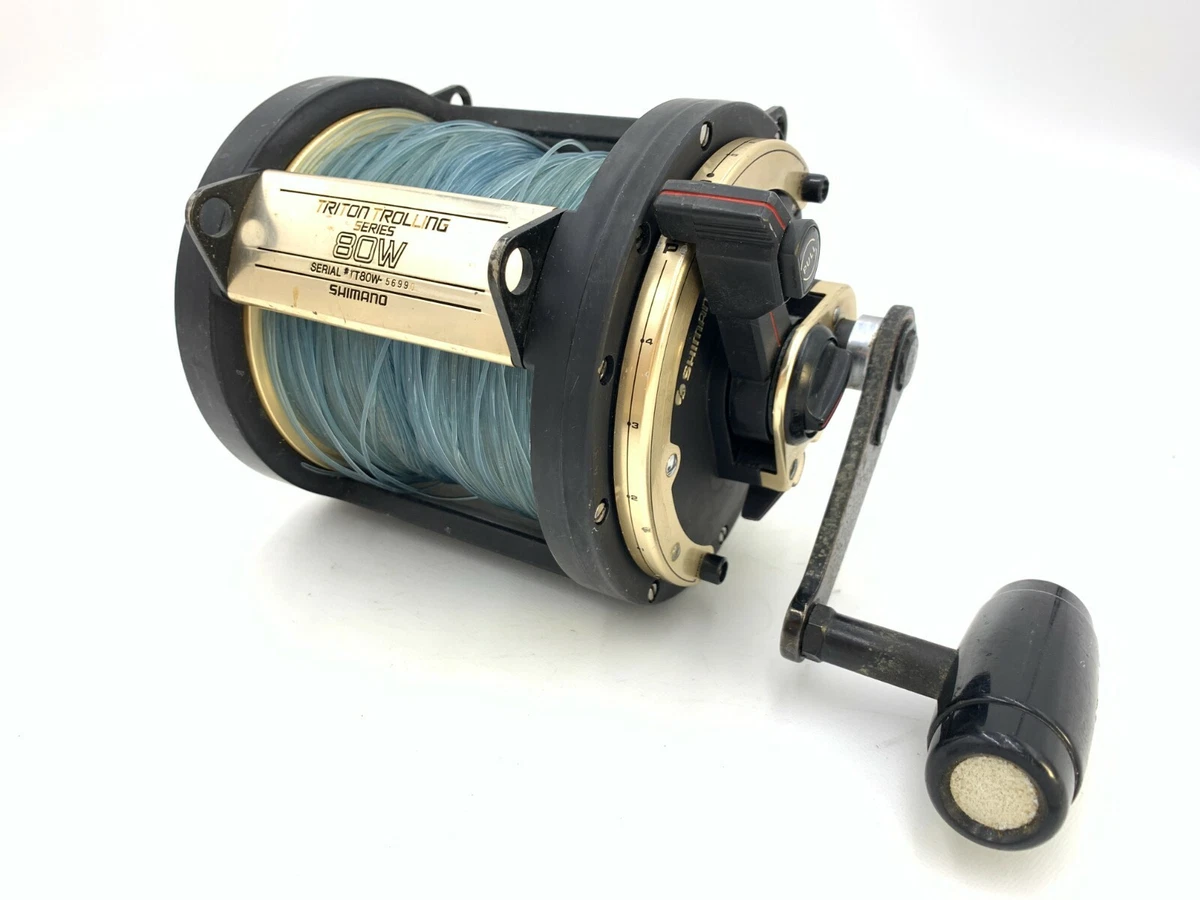 古い掛軸 淵野桂僊 米法山水 木箱入り 日本画 j46