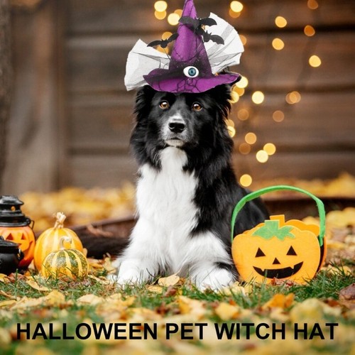 Dogs Witch Hat Cosplay Dogs Halloween Parties Witch Hat for Photography - Picture 2 of 13