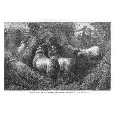 FINE ART Forbidden Fruit von TW Bottomley - antiker Druck 1867