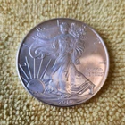 2010 American Silver Eagle 1 oz 0.999 Silver Bullion Coin
