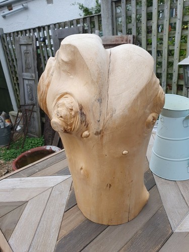Wooden natural organicSculpture Modernist Abstract garden/reptile Unique Piece - Picture 7 of 12