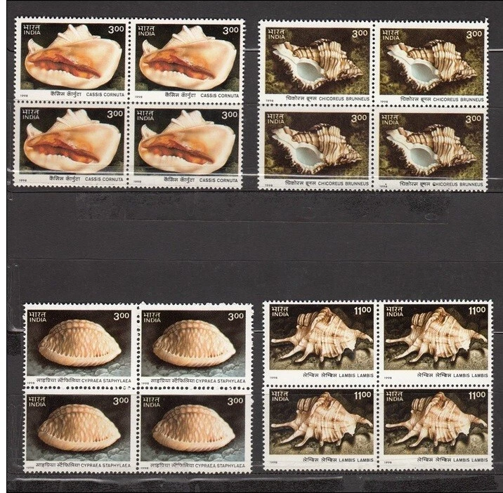 India 1998 Sea Shells stamp set International Year of Ocean Andaman Blk/4 MNH - Image 2 of 3