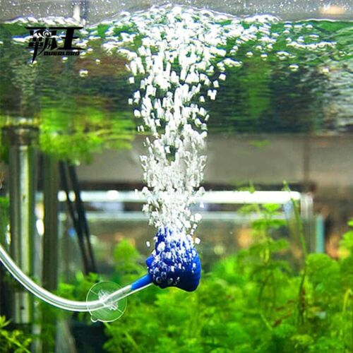 3/8 id x 1/2 od silicone tubing food grade pure silicon tube high temp - 3 m - Picture 4 of 8