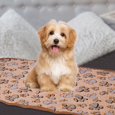 Pet Blanket, Flannel Paw Printed Throw Blanket,16x24 Inches, Coffee, 1 Pack 3 