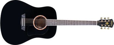 Washburn WD100DL