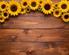 7x5FT Sunflower Wood Texture Backdrop, Rustic, Baby Shower, Photo Booth Prop
