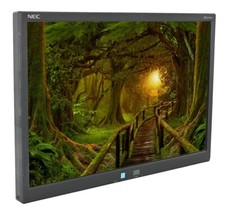 NEC AccuSync AS221WM 22" Widescreen LCD Monitor - No Stand
