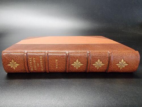1887 NATURAL HISTORY OF SELBORNE Gilbert White THOMAS BEWICK FINE BINDING Scarce - Picture 3 of 12