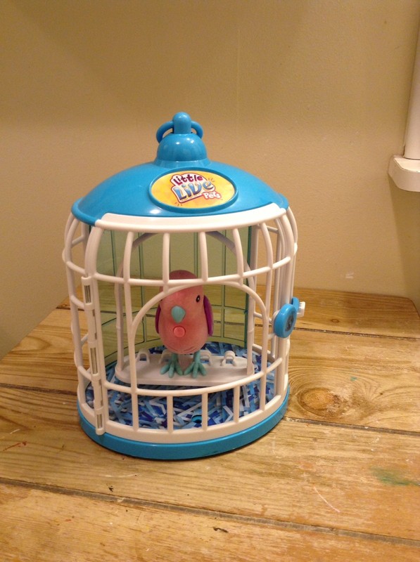 Little Live Pets Parakeet With Cage Works VGC