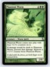 2006 MTG Magic: The Gathering Time Spiral Uncommon Phantom Wurm 211/301 NM