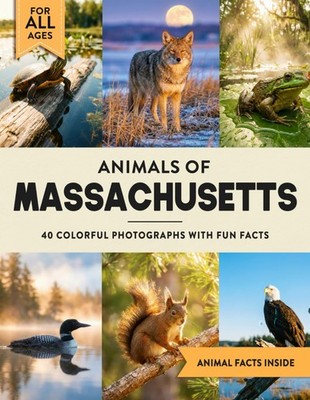 Animals of Massachusetts: Learn All About Bay State Wildlife in a Fun Fact Pictu
