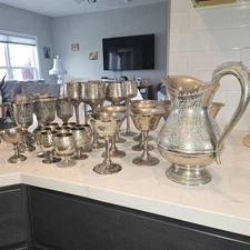 World Gift Z. Y. India Set of 10 Silver Plated Brass 6" Goblets & Large Pitcher