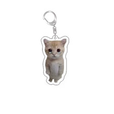 Funny Cat Memes Series Keychain Student Gift Bag Lanyard Women'S Bag Pendant Key