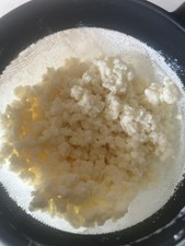Milk Kefir grains, live active grains Bulgaros De Leche 1tsp 5g approx 