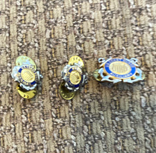 USCG U.S. Coast Guard Auxiliary Badge Pins Lot of 3 Militaria