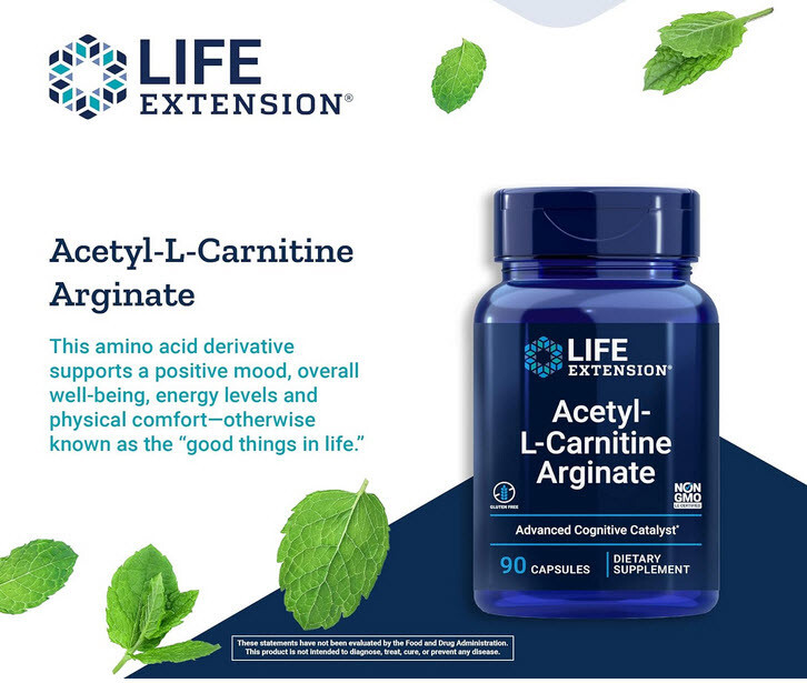 acetyl l carnitine arginate benefits ACETYL-L-CARNITINE ARGINATE CELL BRAIN HEALTH 90 Caps 620mg LIFE EXTENSION