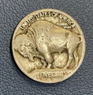 1913 Type 1 Buffalo 🦬 Nickel – Raised Mound – No Date