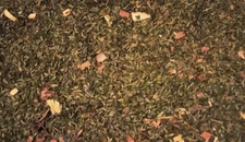 3 XL All Natural Herbal Sachets Lavender Mint Protect Clothing NO MOTHS