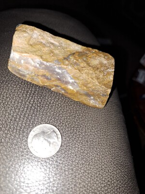     PETRIFIED FOSSIL WOOD VERY COOL COLORADO    