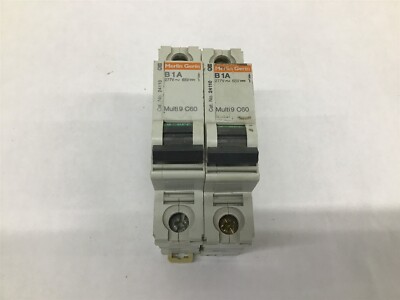 Merlin Gerin IEC 60947-2 B1A Multi 9 C60 Lot of 2