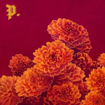 Proper I Spent the Winter Writing Songs About Getting Better (CD) Album
