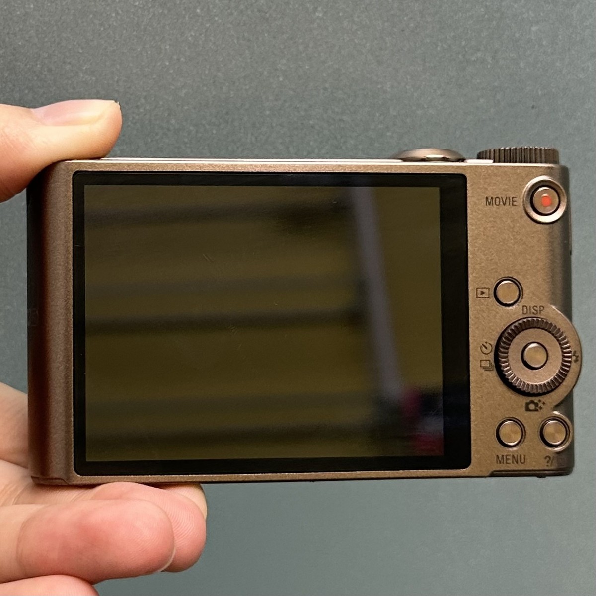 SONY Cyber-shot DSC-WX300 Brown Compact Digital Camera English