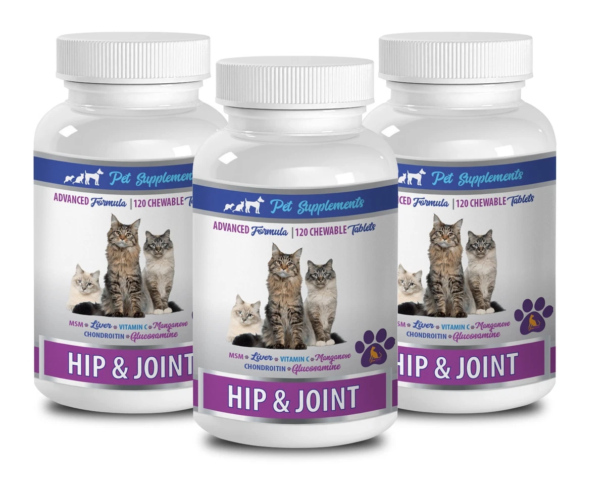 Cat immune supplement cheap