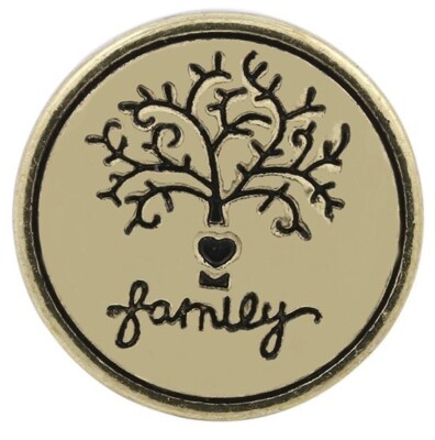 Snap Jewelry Family Enamel Gold 18-20mm Fits Ginger Charms Accessories