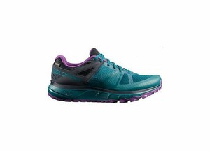 salomon trailster gtx mujer