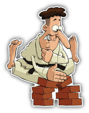 Karate Man Funny Car Bumper Sticker Decal